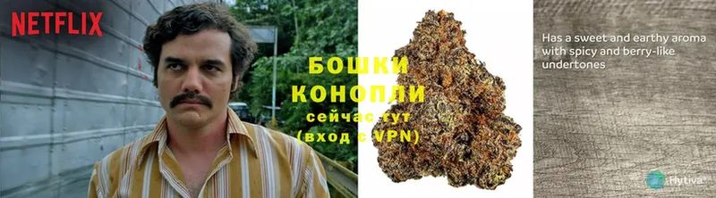 продажа наркотиков  Отрадная  Канабис THC 21% 